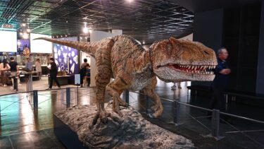 光希まさとの徒然草「徒然草 現代篇 －太古の鏡と人の世の儚さ」０８０